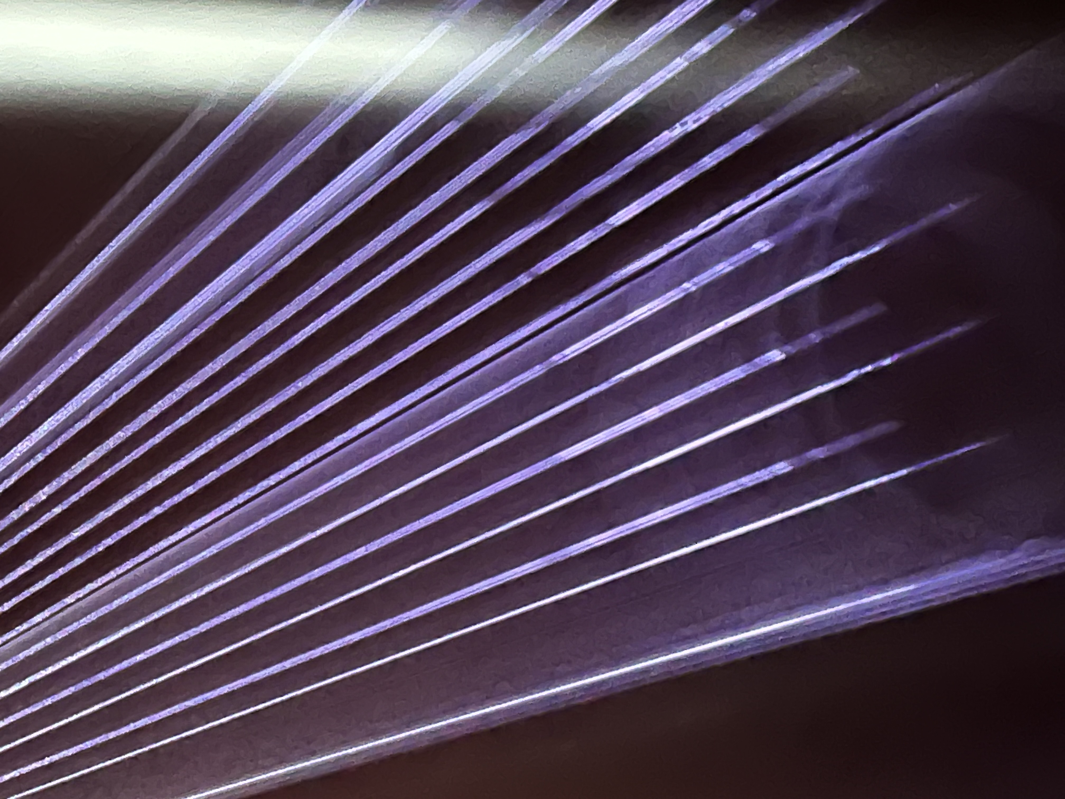 Projection son et lumière - Aurora