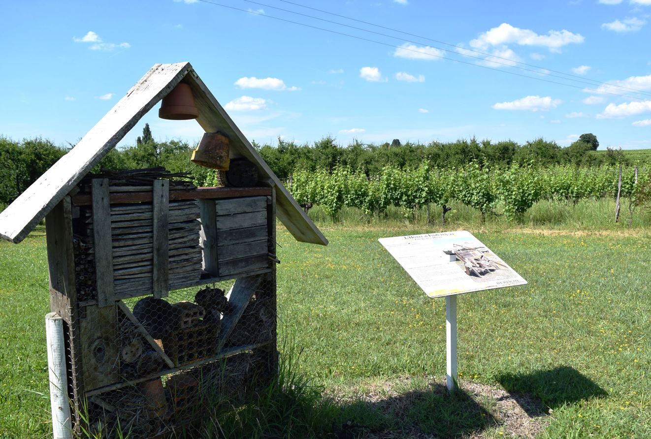 SAS Berticot Graman - photo 3