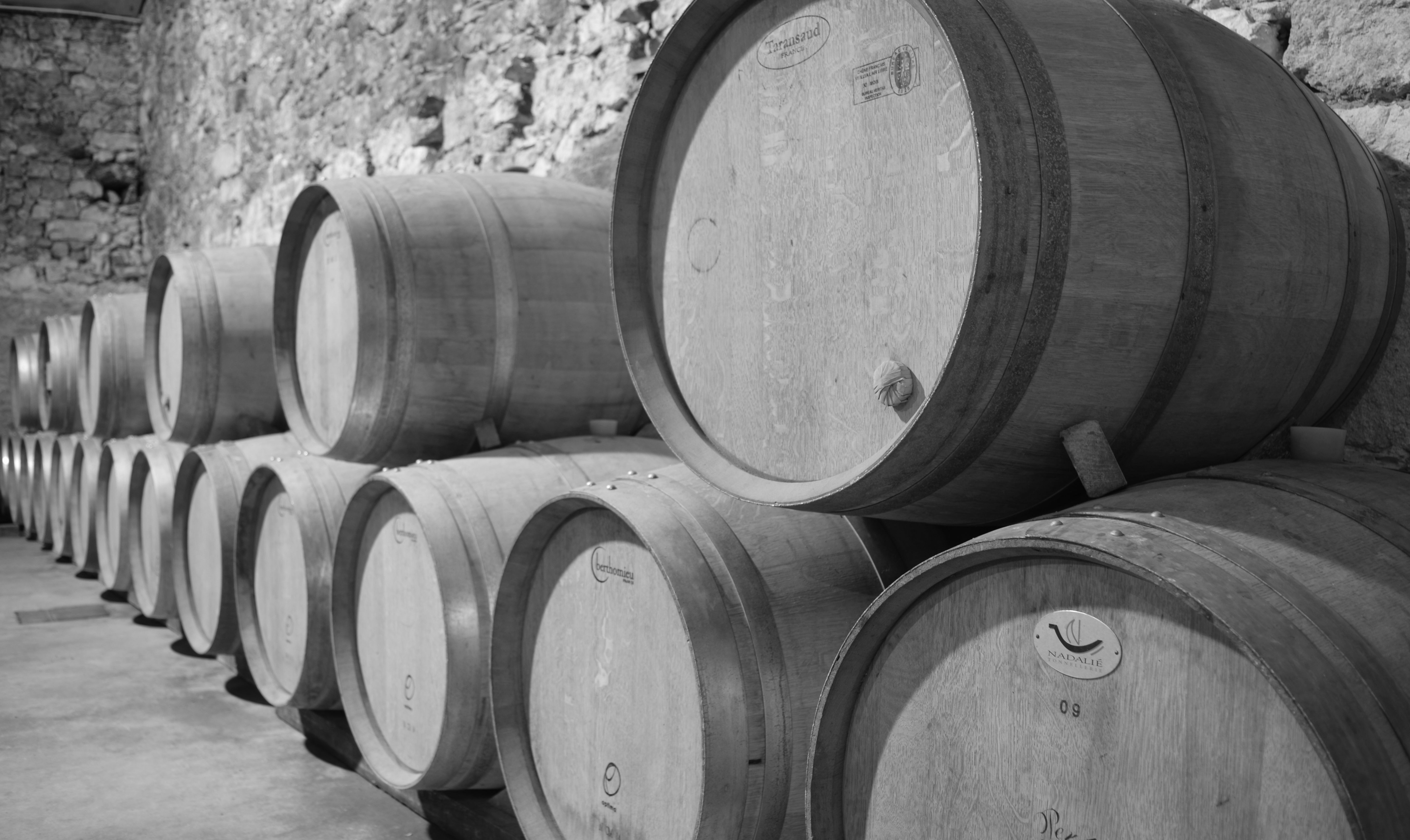 Domaine de Ferrant - SCEA Vignobles Vuillien - photo 3