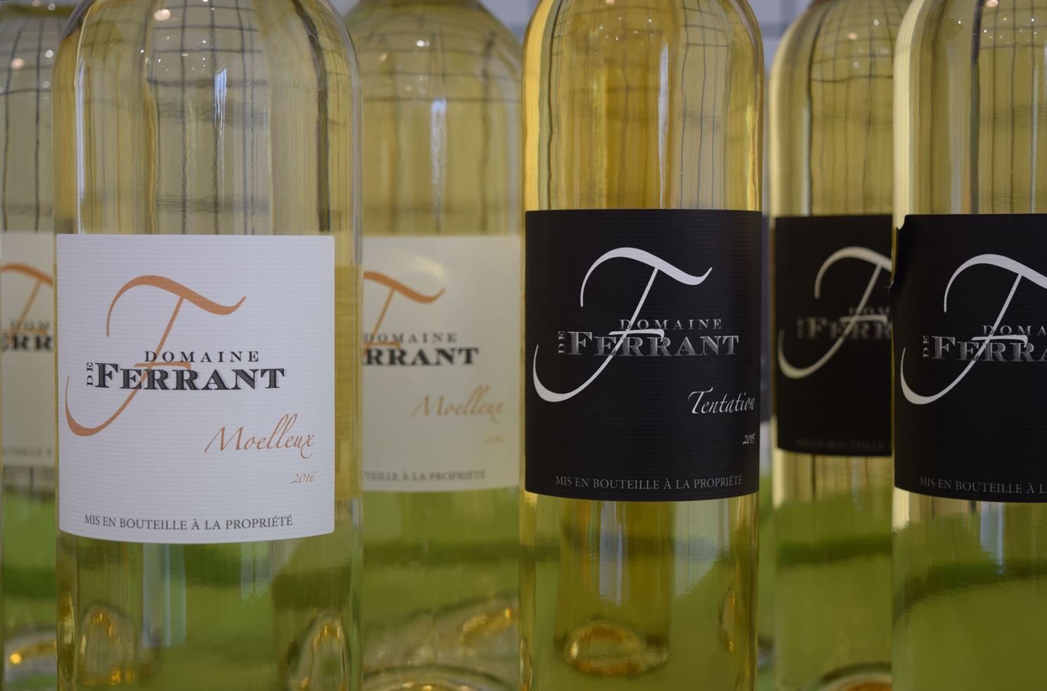 Pique-nique vignerons indépendants au Domaine de Ferrant, Esclottes - photo 4