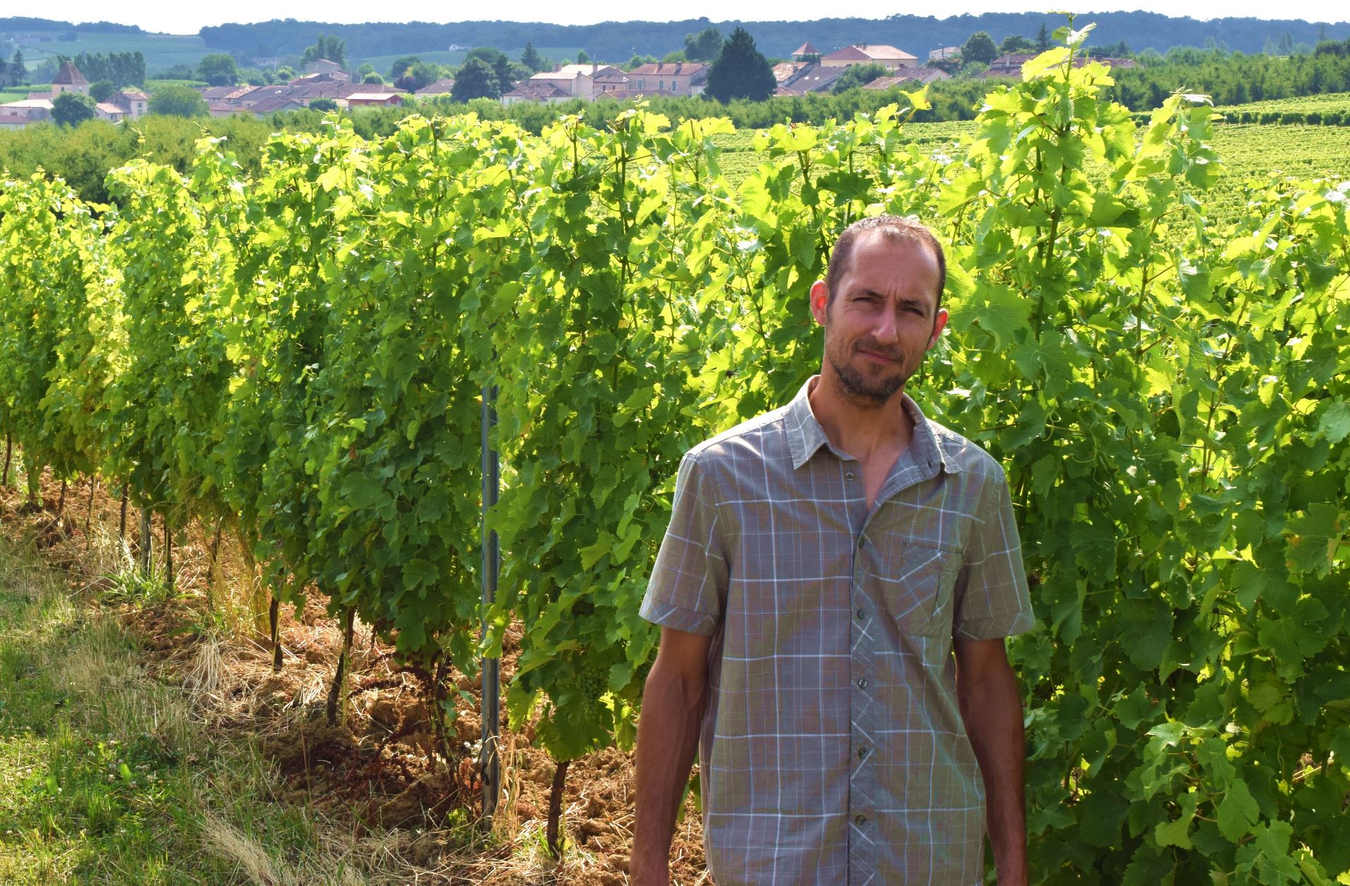 Domaine des Allegrets - photo 2