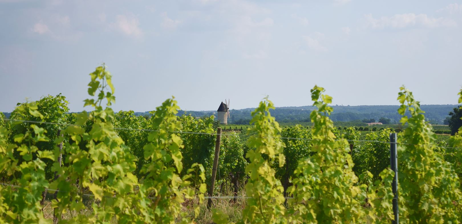 Domaine des Allegrets - photo 5