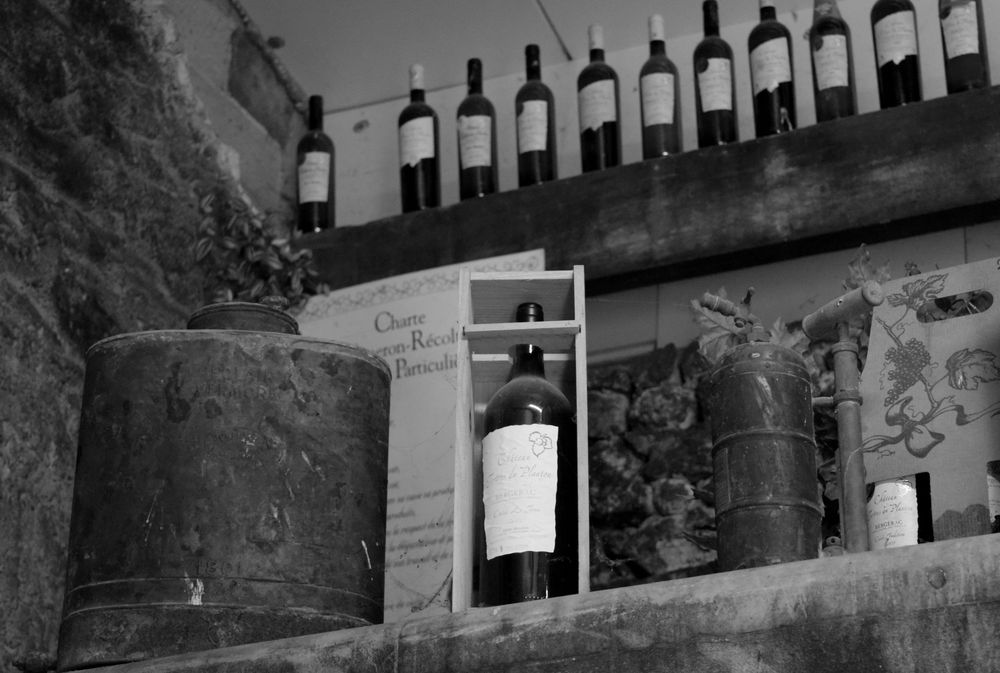 Château des Tertres du Plantou - photo 3