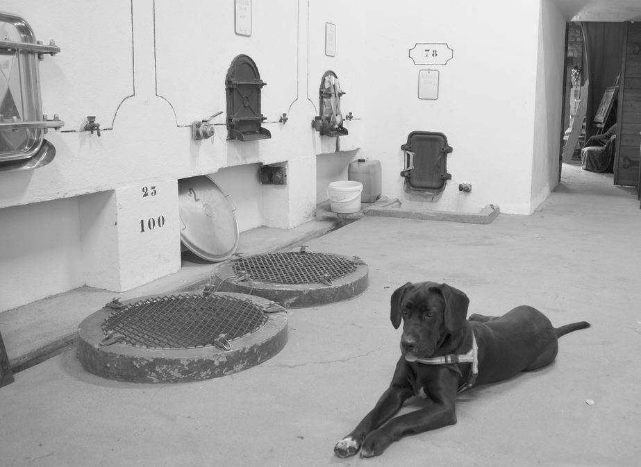 Château Court les Mûts