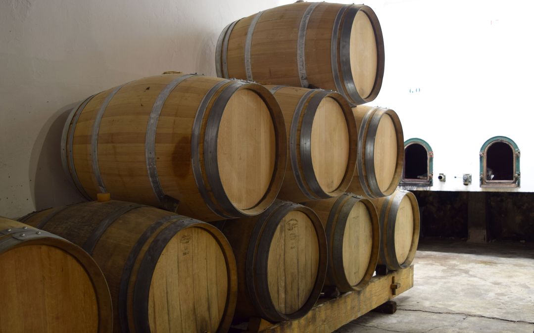 Château Court les Mûts - photo 4