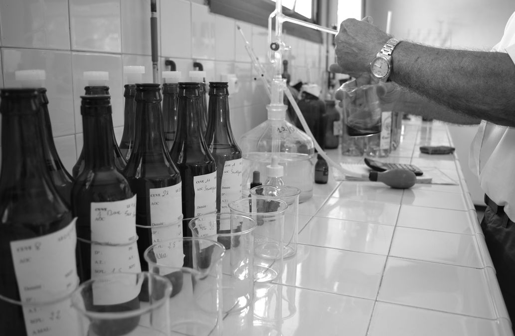 Château Court les Mûts - photo 5