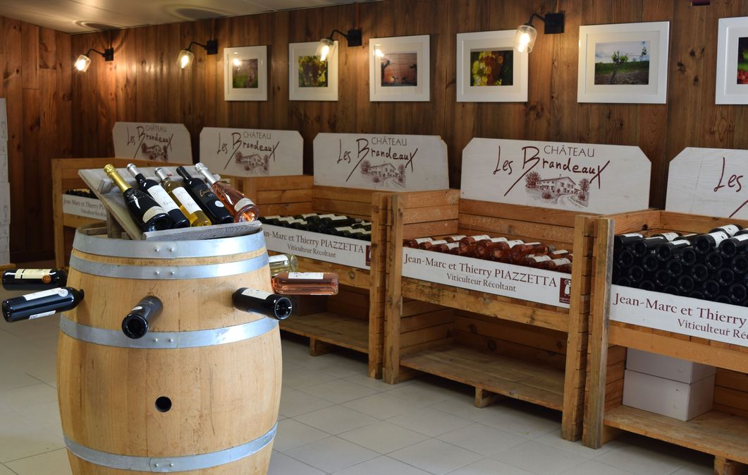 Château Les Brandeaux - photo 2