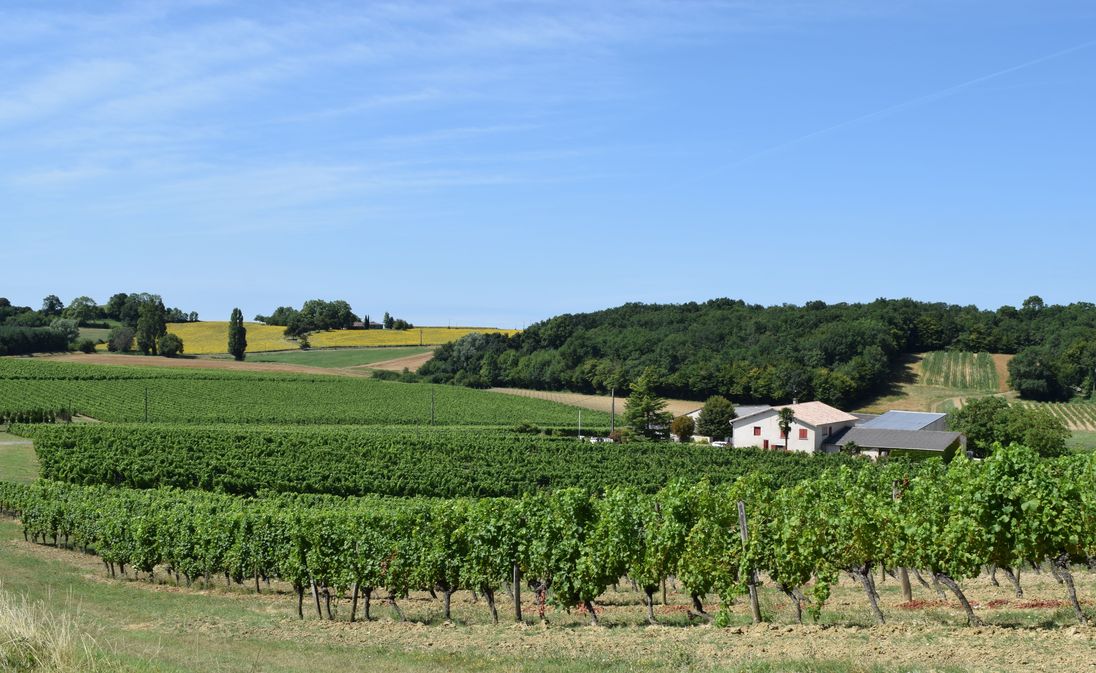 Château Les Brandeaux - photo 4