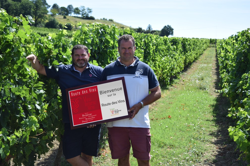 Château Les Brandeaux