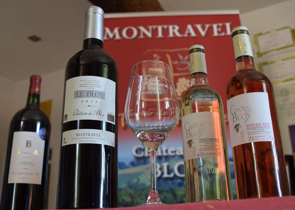 Château du Bloy - photo 4