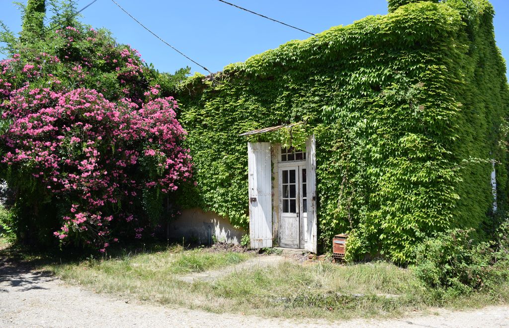Château du Bloy - photo 3