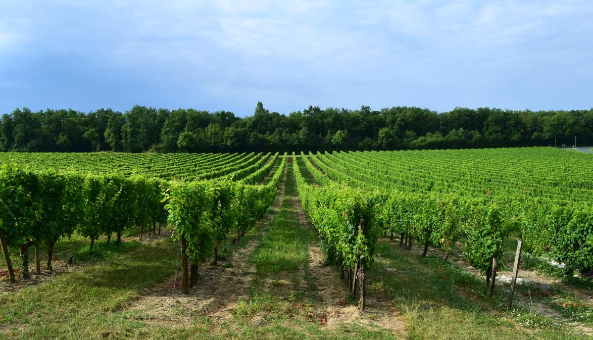Château le Raz — photo 2