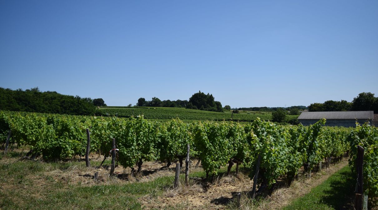 Château Les Grimard