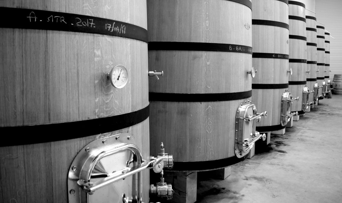 Château Moulin Caresse - photo 2