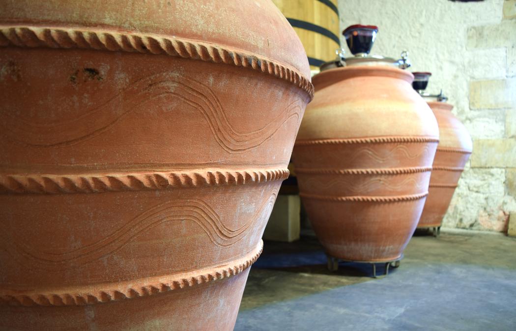 VIGNOBLES DUBARD - photo 3