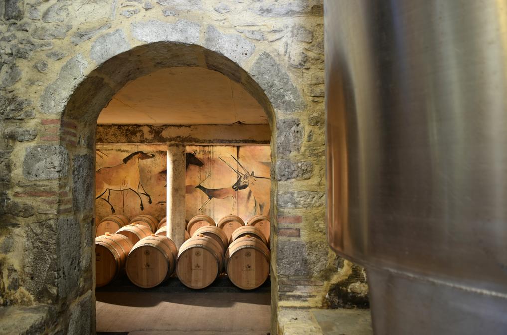 VIGNOBLES DUBARD — photo 3