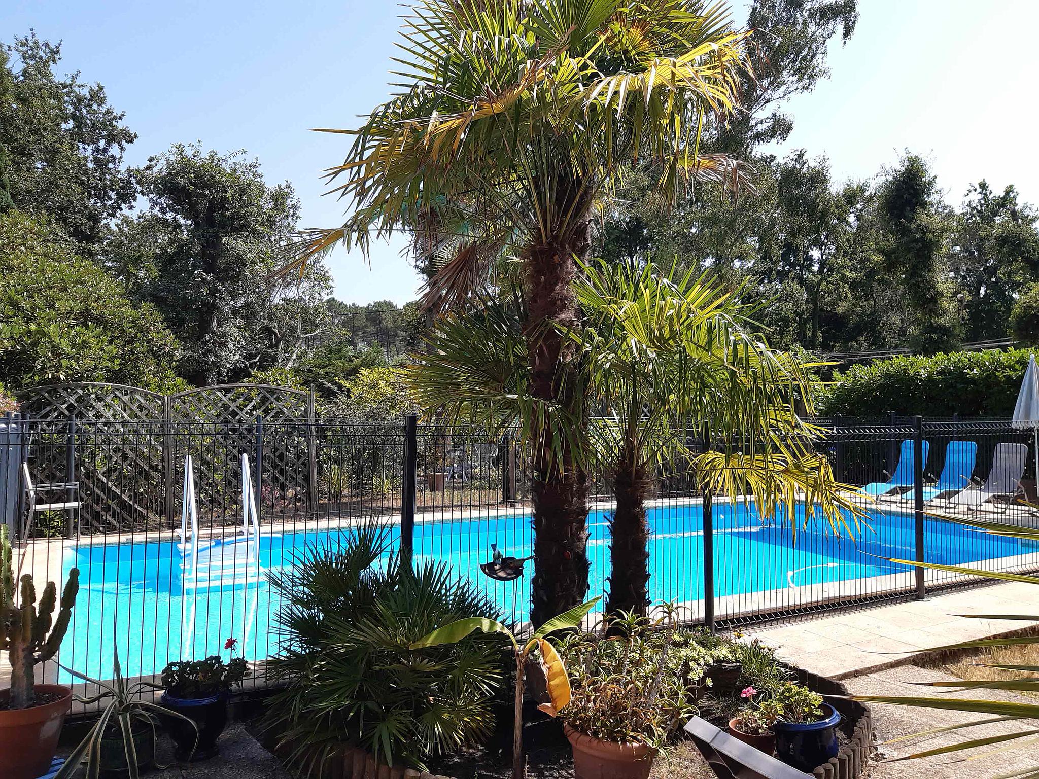 Gîte Les 2 Pins, Audenge - photo 5