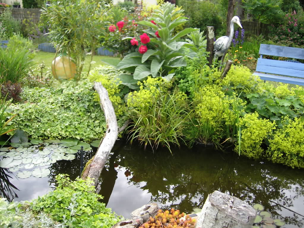 Au Paradis des fleurs et des oiseaux, Availles-Limouzine - photo 4