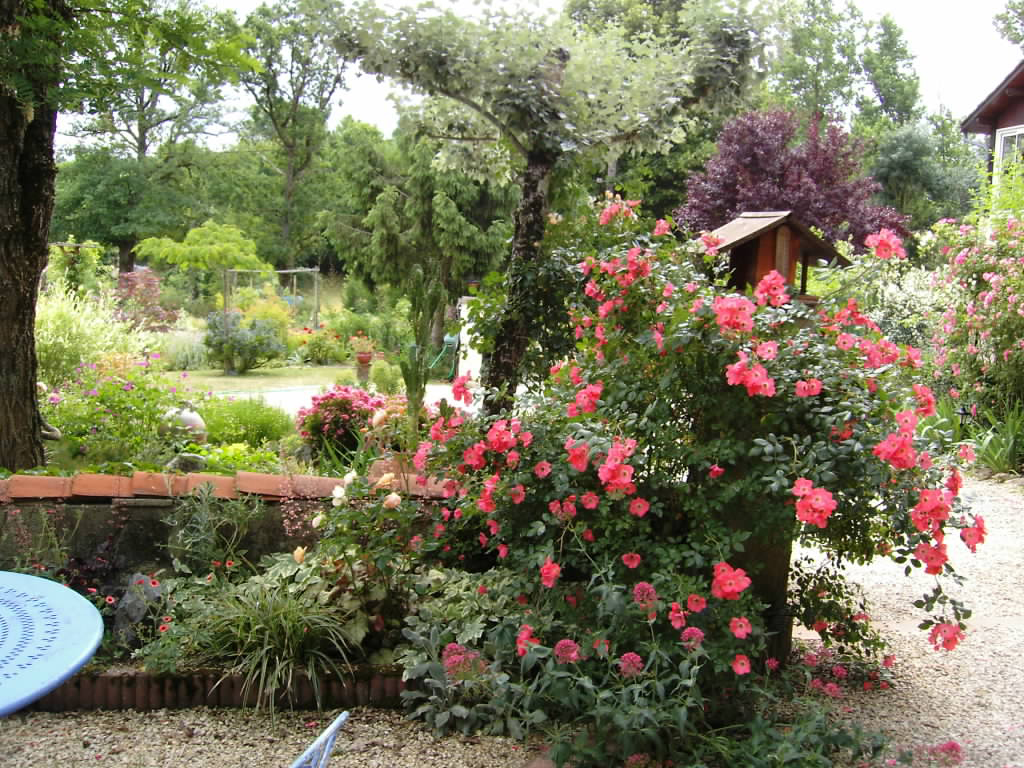 Au Paradis des fleurs et des oiseaux, Availles-Limouzine - photo 11
