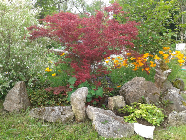 Au Paradis des fleurs et des oiseaux, Availles-Limouzine - photo 9