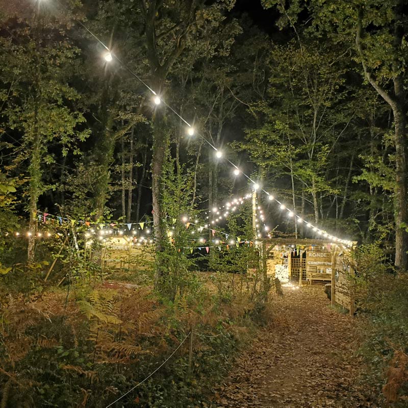 La Forêt mystérieuse, Saint-Geniès - photo 12