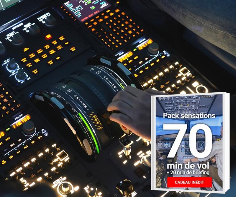 AviaSim : simulateur de vol