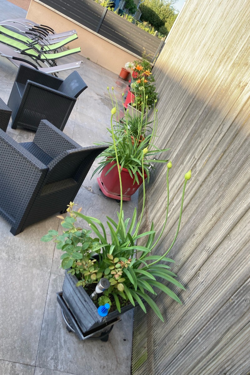 Location de Carole et Thierry GUILLEMIN, Boussac-Bourg - photo 8