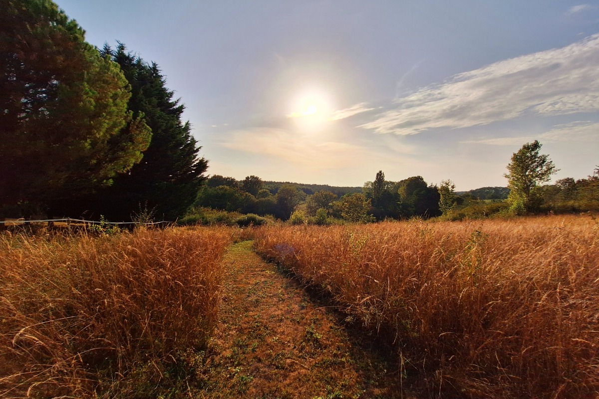 Gîte Prunier, Montignac-de-Lauzun - photo 13