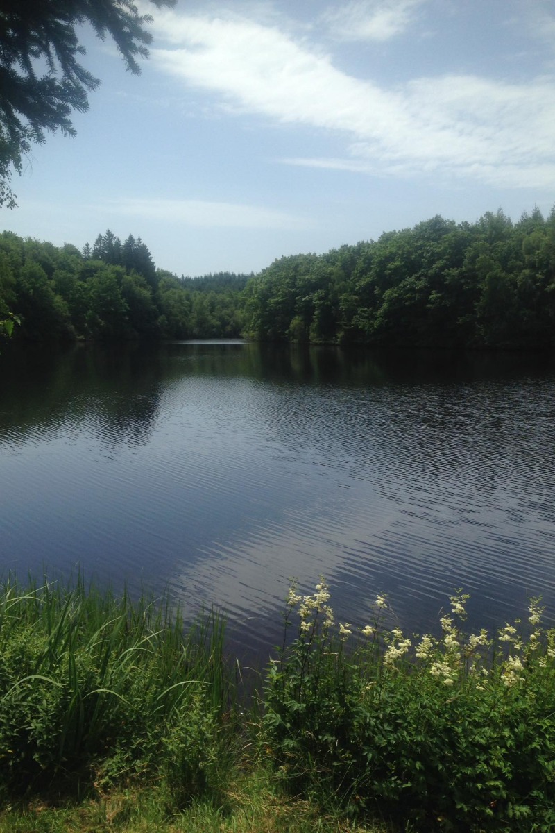 Location de Mireille PEYRONNAUD - photo 3