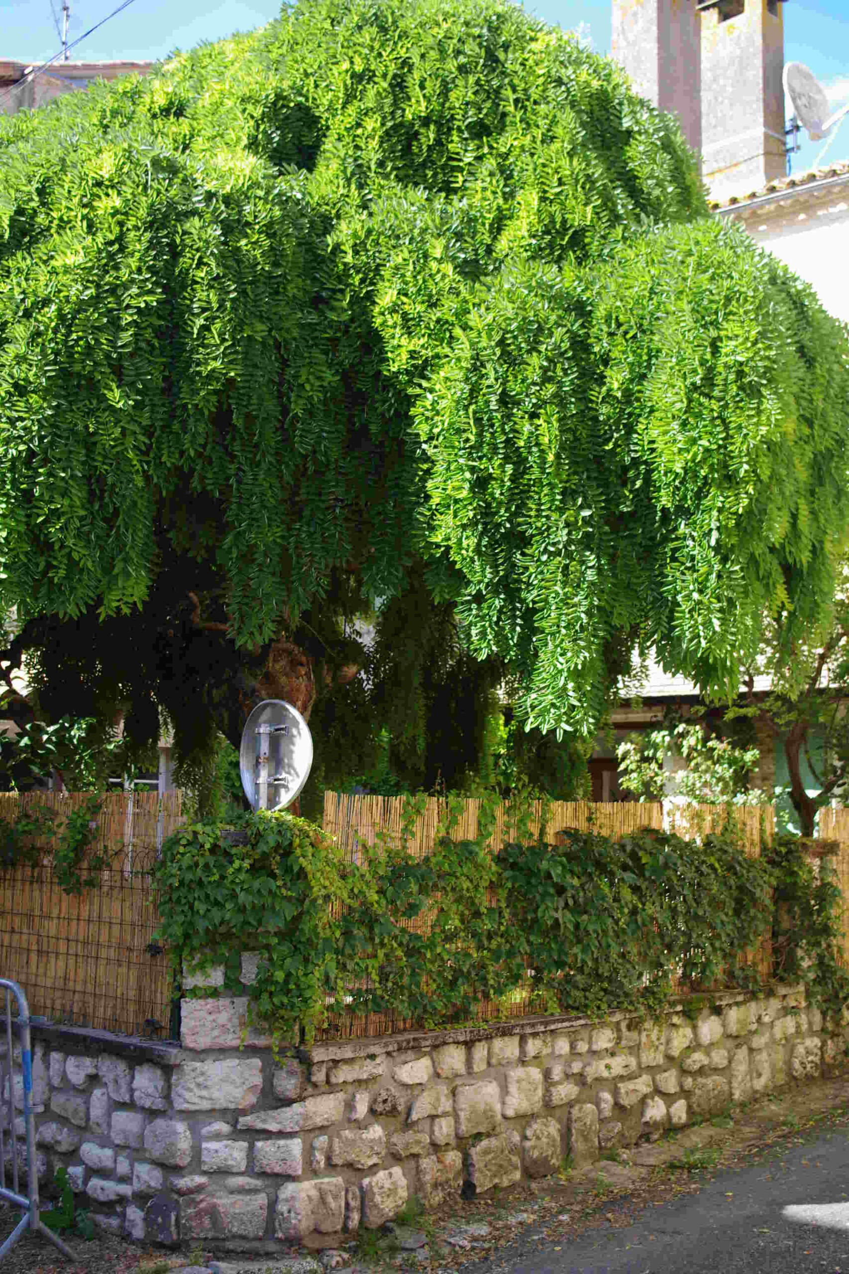 Gîte Saint Michel, Villeréal - photo 17