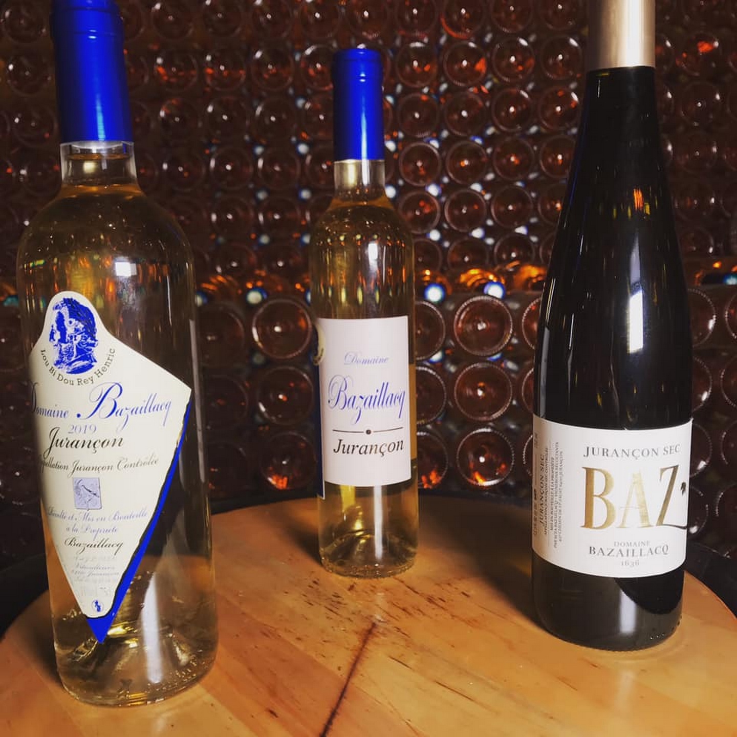 Domaine Bazaillacq - photo 4