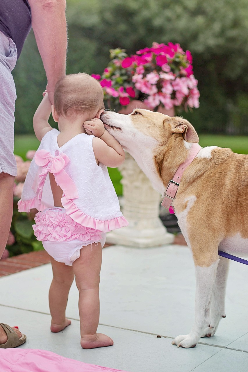 Atelier Médiation animale avec l'association  "l'atelier des Loutres"