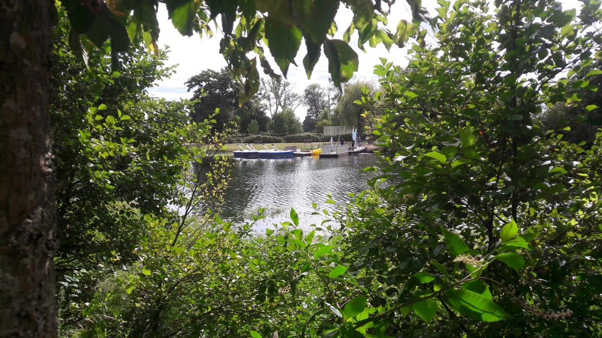 Aire de pique de la Base de loisirs, Neuvic - photo 5