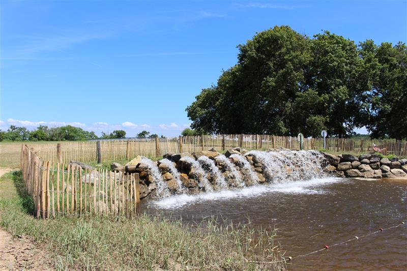 baignade aménagée - OT Le Teich C. Benaben (13)