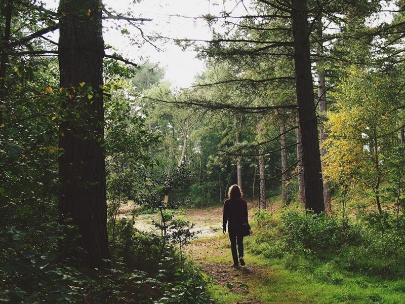 Bain de forêt