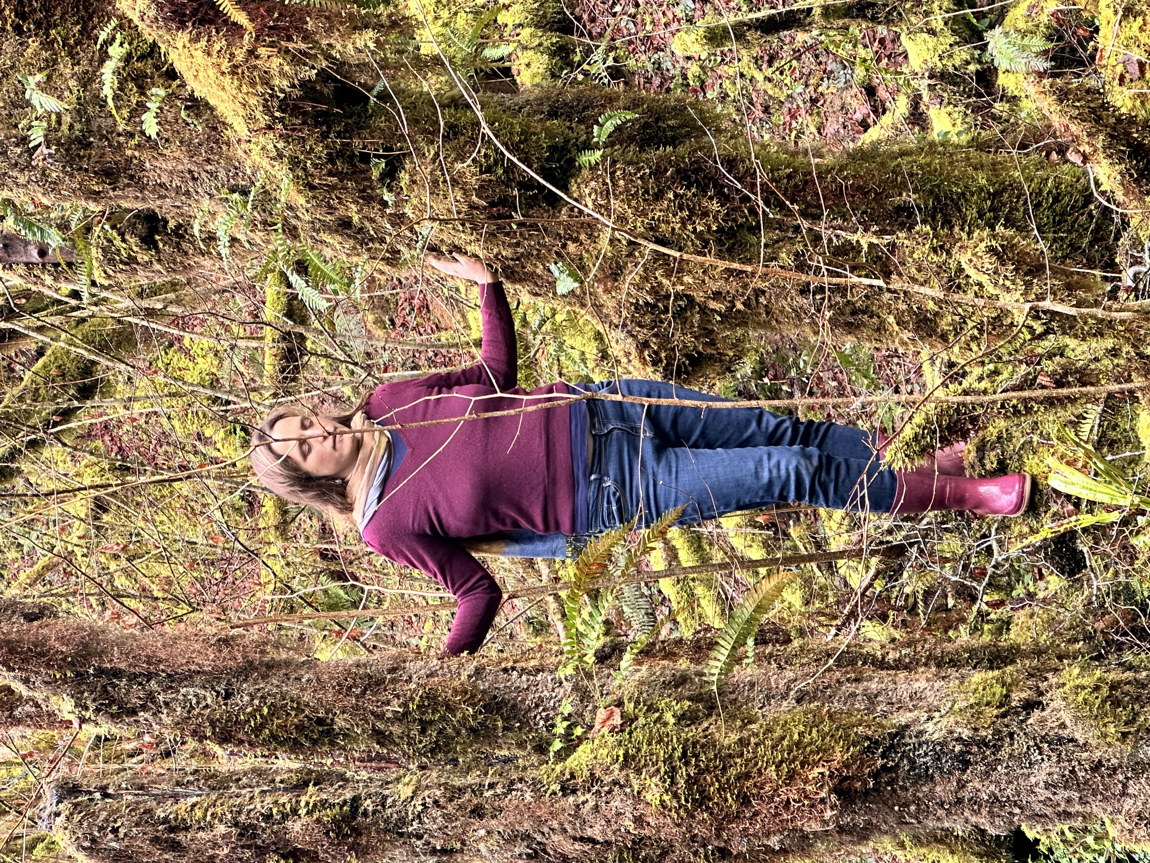 Les arbres et nous — photo 3