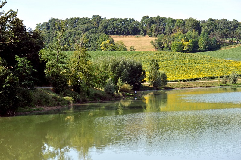 Lac de Bajamont, Bajamont - photo 3