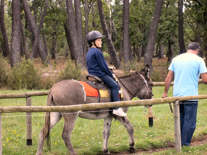 Cabriol'Ane : Balades à dos d'âne — photo 3