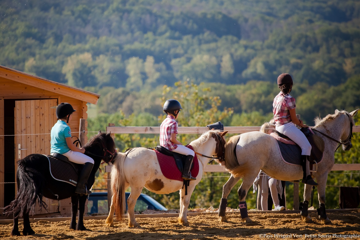 Demi-journée immersion avec un cheval, Saint-Priest-les-Fougères - photo 2
