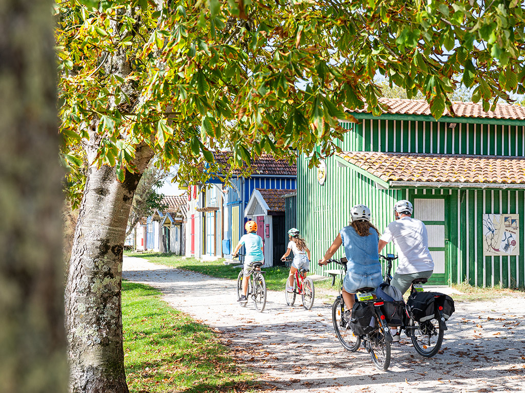 Balades « pépites et gourmandises » à vélo : Entre nature et saveurs maritimes, d’Audenge à Lanton, Audenge