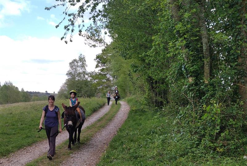 Au rythme des ânes et des saisons 