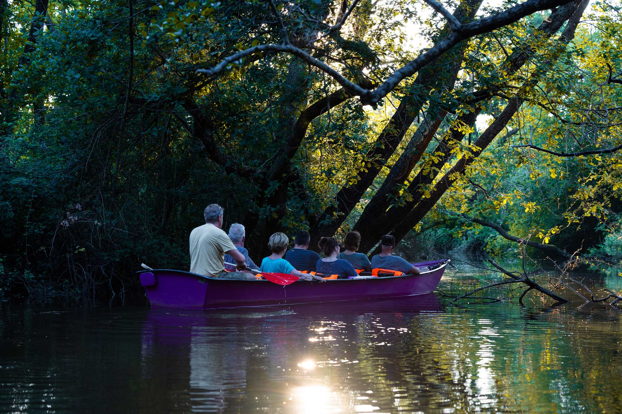 Balade en galupe au crépuscule avec Lou Bateleyre