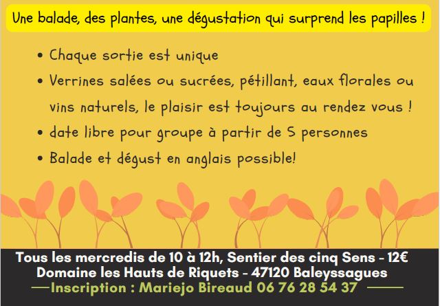 Le sentier des 5 sens au Domaine Les Hauts de Riquets balade gourmande, Baleyssagues - photo 13