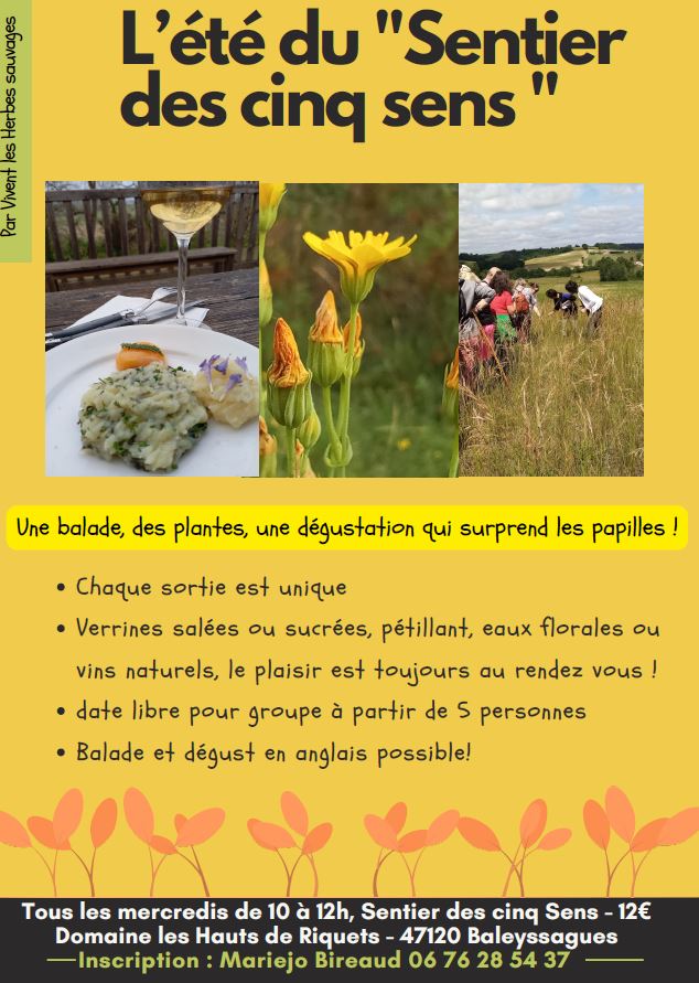 Le sentier des 5 sens au Domaine Les Hauts de Riquets balade gourmande, Baleyssagues - photo 15