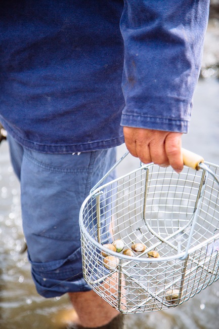 Balade et pêche à pied à marée basse en famille - photo 3
