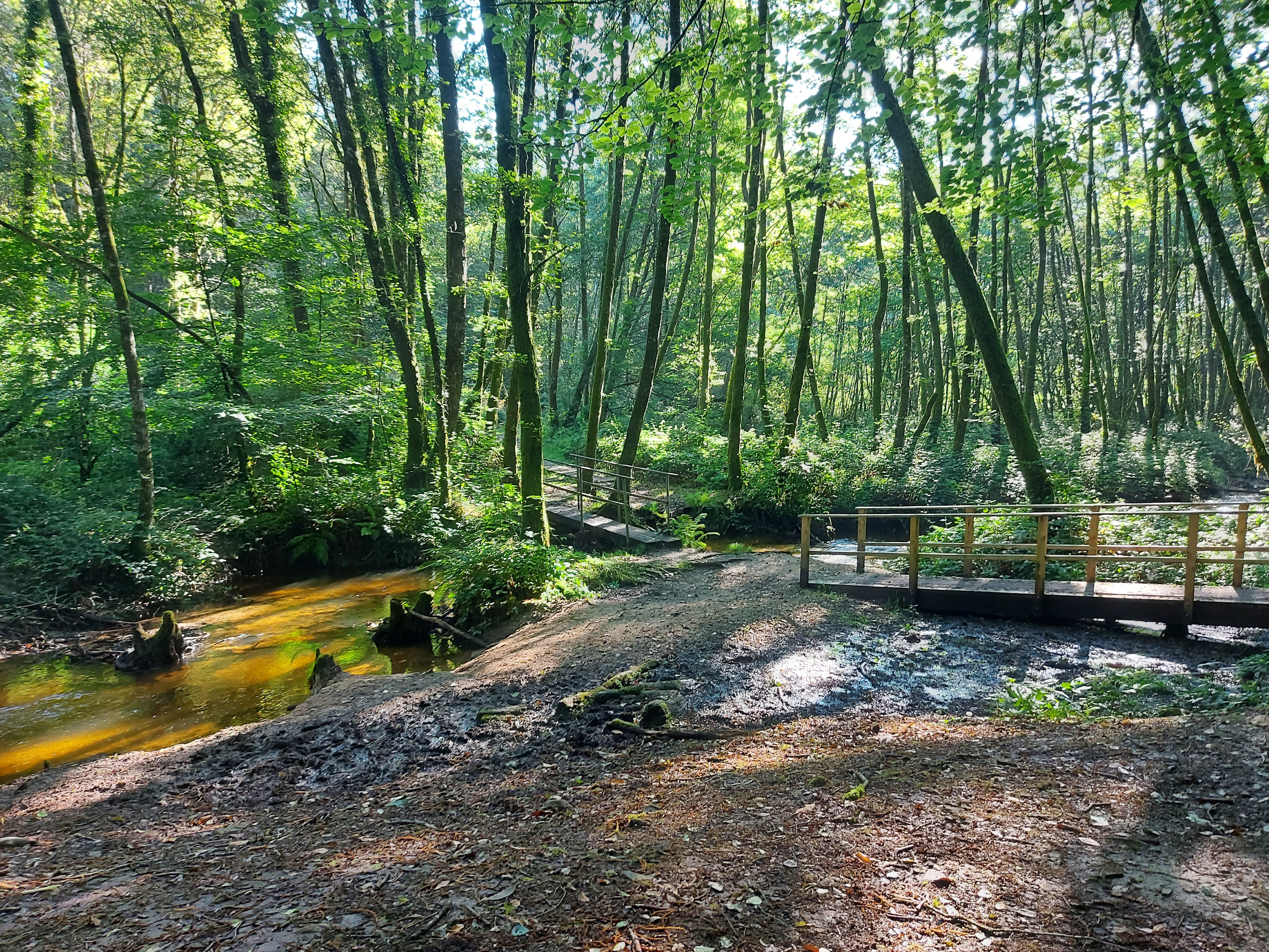 Camping L'Ecrin Nature - photo 5