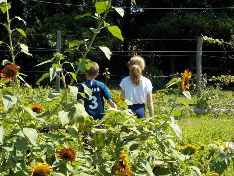 Parc Eden et Sens, Ginestet - photo 11