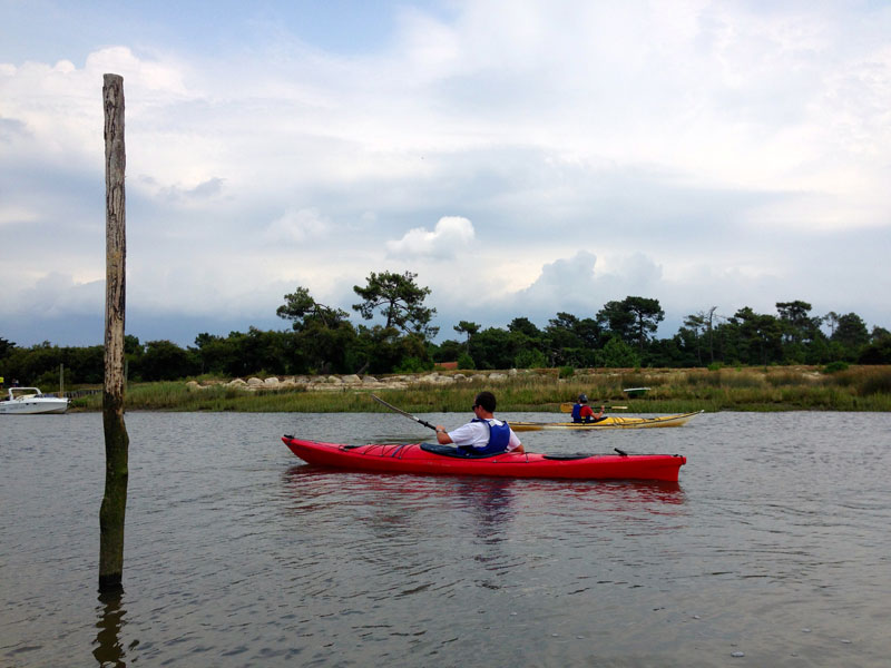 Balade naturaliste en canoë-kayak, Lanton