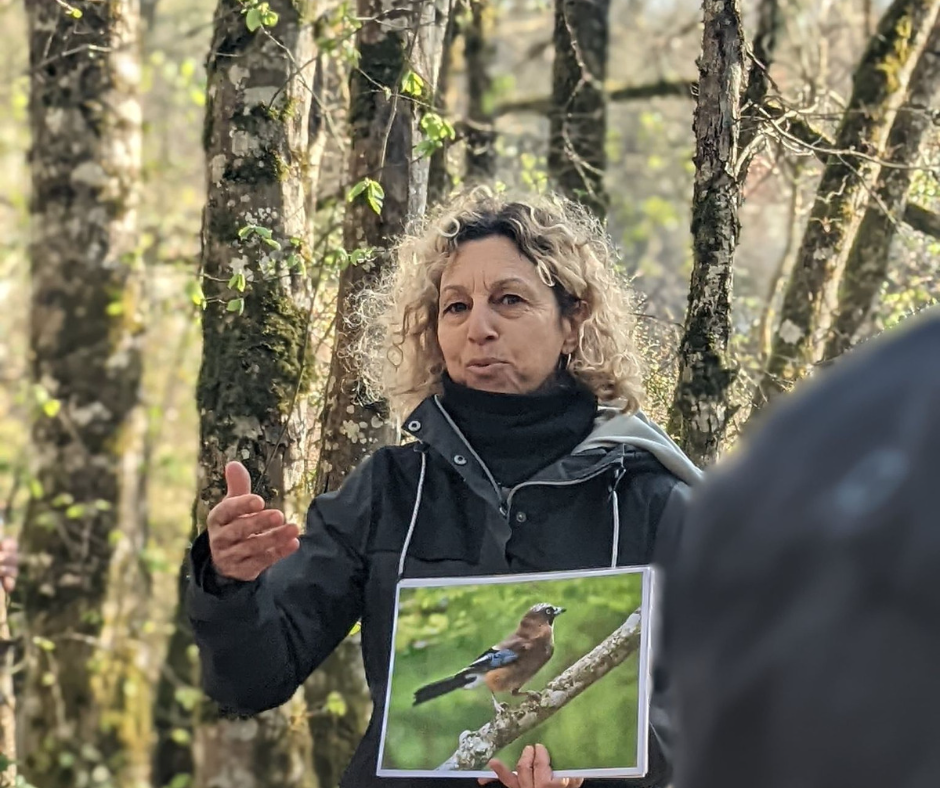 Le Jardin des Murmures