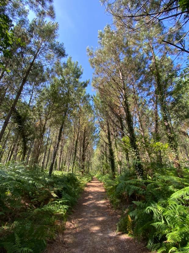 Sentier Lou caminot tranquillot - photo 4